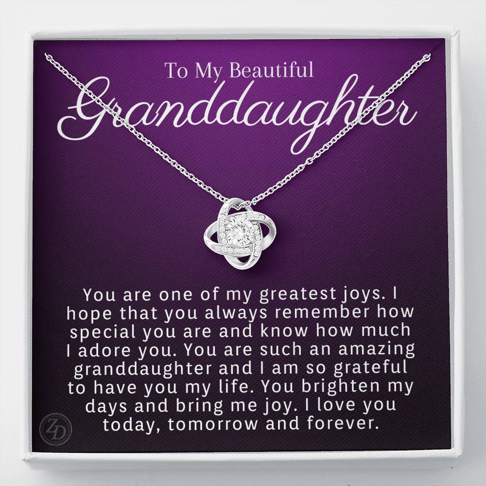 To My Granddaughter-"My Greatest Joy" Necklace