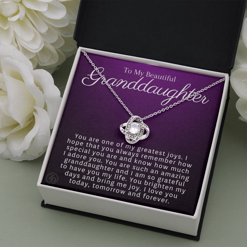 To My Granddaughter-"My Greatest Joy" Necklace